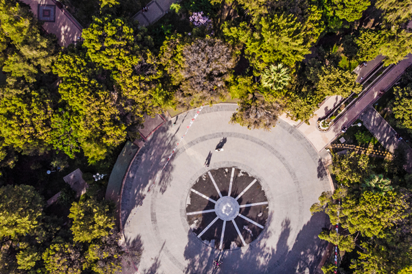 Bornovo Evden Eve Taşıma